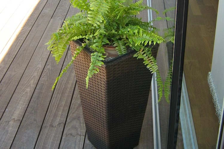 Terrassendeck Thermoesche