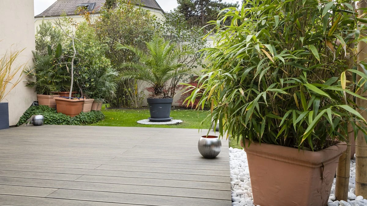 Terrassenböden im Klimawandel
