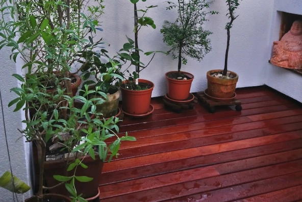 Willkommen Balkonien 02