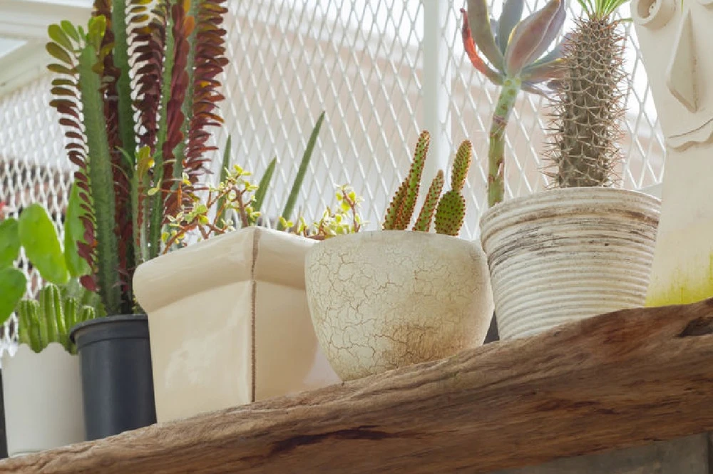 Die Outdoor Trends 2019 Wohnzimmerfeeling Fuer Draussen 06