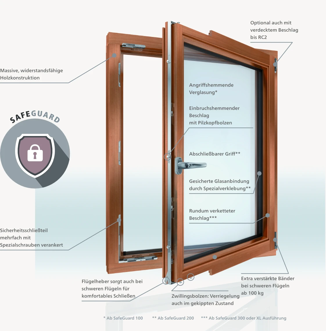 Safeguard Vision P Fenster