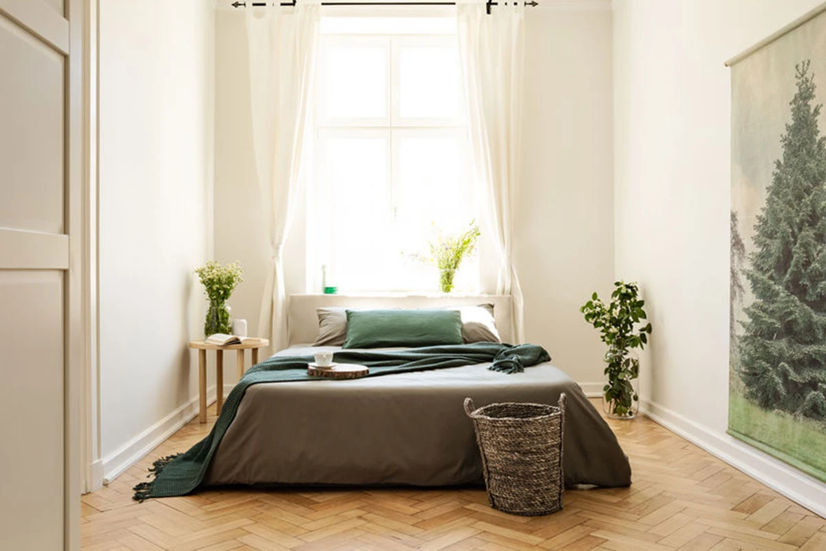 Wohngesund Feng Shui Blog Element Holz