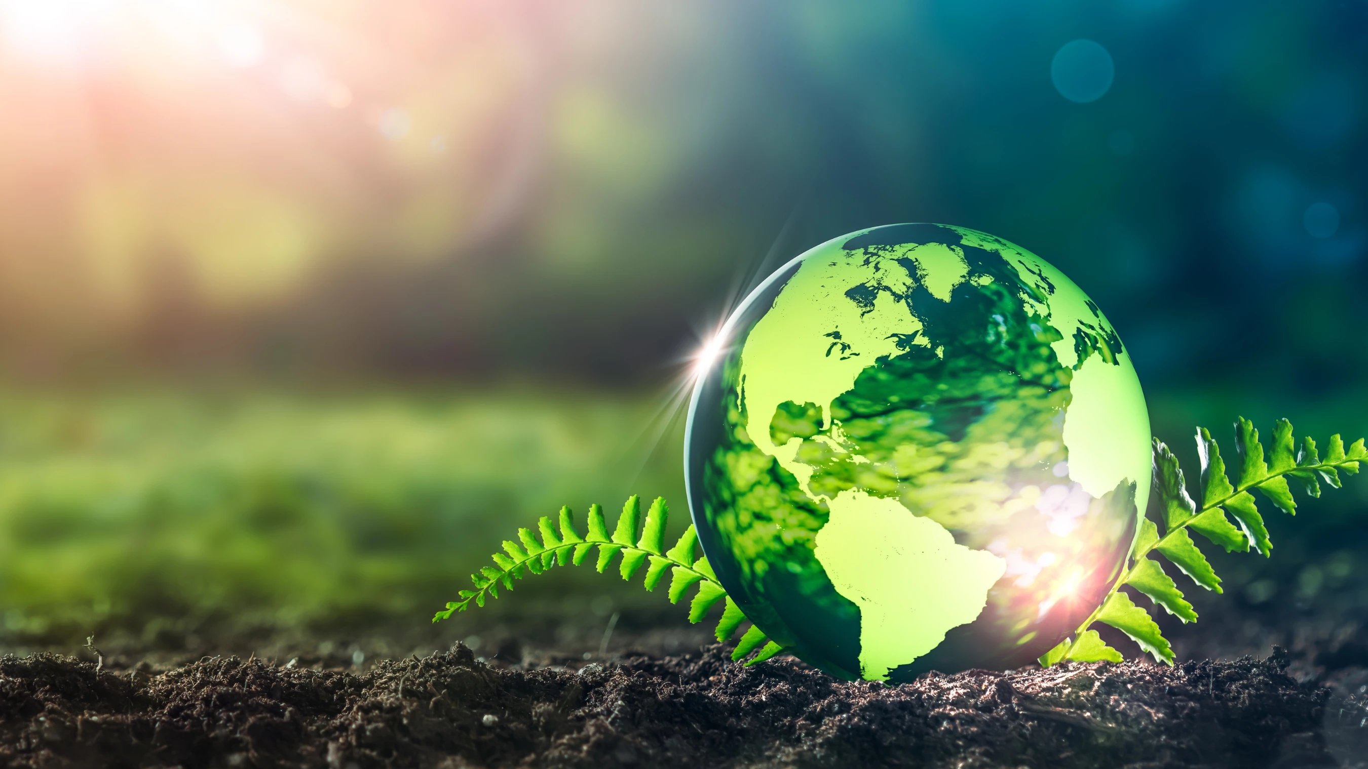 Let’s get green: WOHNGESUND & Umweltschutz