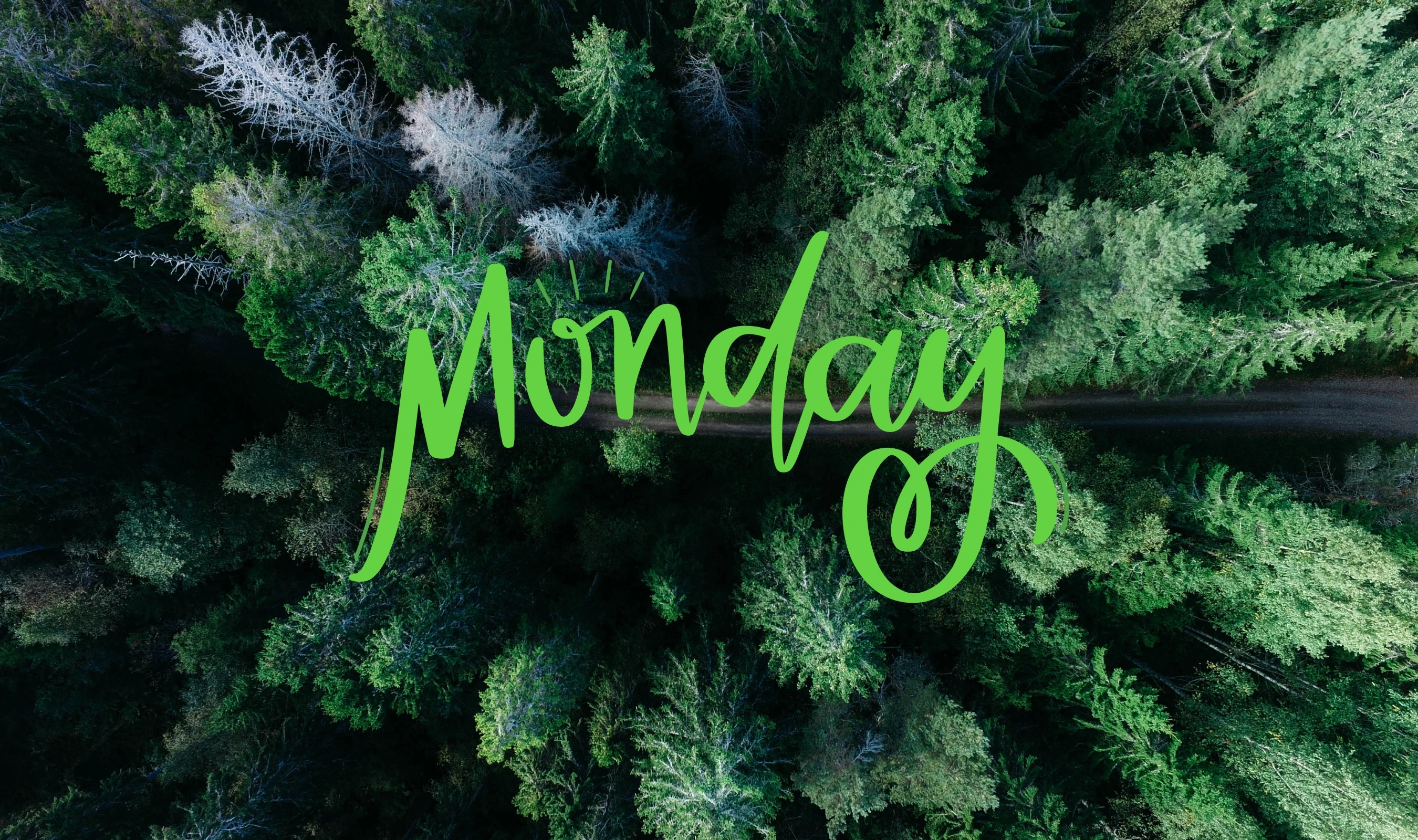 Lets Get Green Wohngesund Und Umweltschutz 3